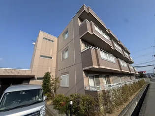 グレース21の画像