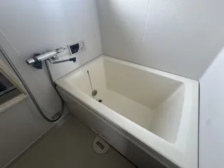 ディアス・オークラ【2階】の風呂