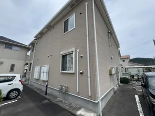 スターダスト光の画像