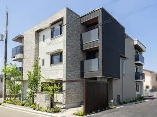 ドゥエラの画像