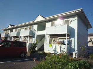シーライトの画像