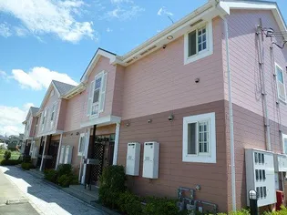 アレグラールIIの画像