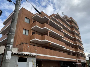 セントポーリアⅠの画像