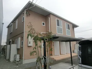 アミコートMの画像