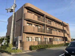 グレイス セイバリーの画像