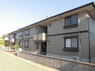 コートラフィーネの画像