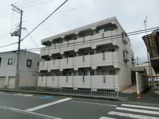 ソルテリアユタカの画像