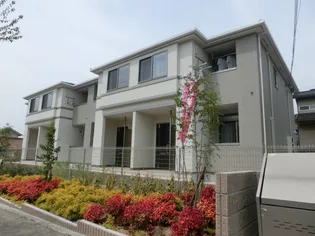 カラタチの画像