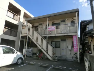 プリムローズの画像