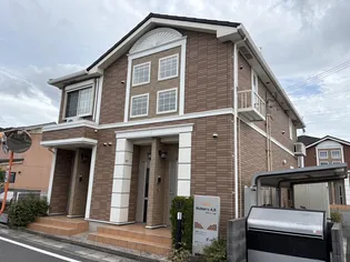 マルベリーBの画像