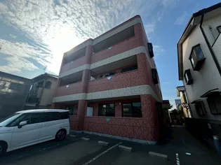 エクセルコートの画像