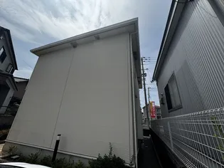 サウスエレガンスの画像