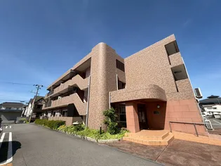 グレイス セイバリーの画像