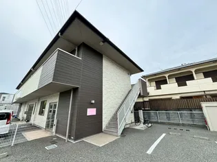 チェリーブロッサムの画像