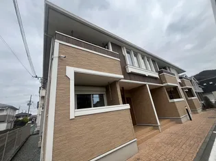 ヴィオラの画像