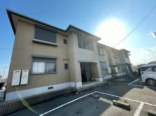 アイランドの画像