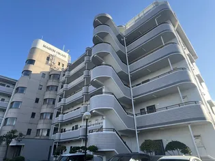 メゾンヒカリ【0503号室】の外観