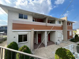 プレアデスAの画像