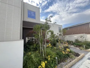 シャーメゾンオリーブの画像