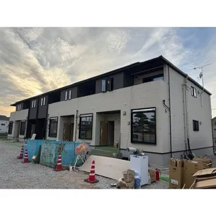 プリムローズの画像