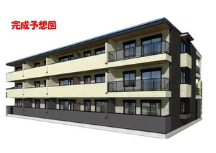 グラン ステラータの画像