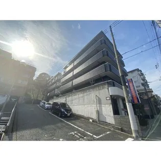 ヴァーチュアス朝霧の画像