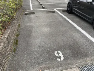 エリクシード【203号室】のその他画像