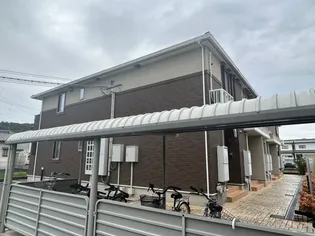 ノール シャンの画像