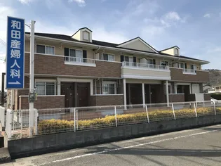 ラピッドの画像