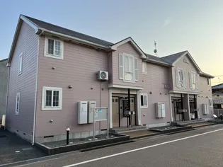 レインボーT Sの画像