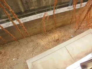 ハリマハイツ峰【101号室】のその他画像