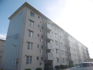 石守住宅C11【105号室】の外観