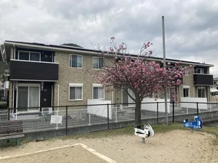 オワゾー ブルーBの画像