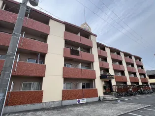 セントポーリアの画像