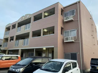 セントポーリア高砂の画像