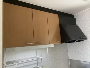 ガーデンハイツA・B棟【A202号室】のキッチン