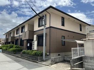 シャルマンイワイの画像