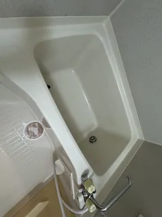 メゾンアルカディア【2階】の風呂