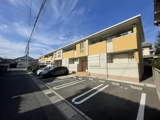 フィレール デュ トラジャⅥの画像