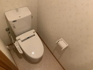 ハイライズ東雲【902号室】の内装