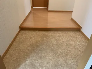 ハイライズ東雲【902号室】の玄関