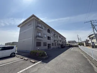 TSコスモスの画像