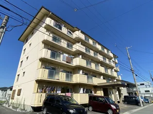 グレイス姫路【501号室】の外観