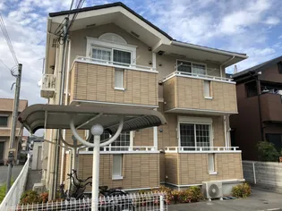 マルベリーBの画像