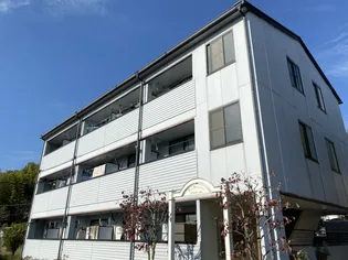 サンドミトリー【303号室】の外観