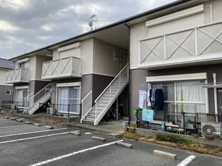 ハイツカンファーツリー【2階】の外観