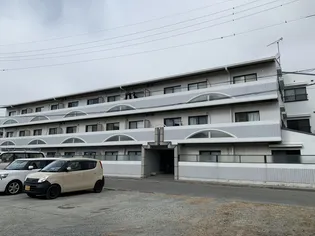 ドール東加古川【201号室】の外観