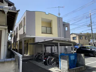 パインワンの画像