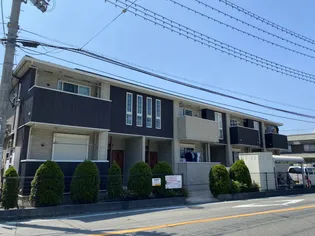 サングリーンBの画像