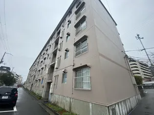 青山年ヶ森ハイツ A棟の画像